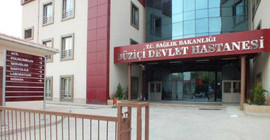 Kedileri vurmaya çalışan 15 yaşındaki çocuk, kuzenini vurdu