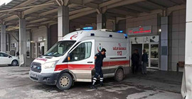 Yılanı vurmak isterken 4 çocuğunu yaraladı