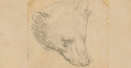 Leonardo Da Vinci'nin bir çizimi 12 milyon Sterlin'e satılması bekleniyor