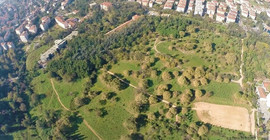 Validebağ Korusu'na yapılmak istenen millet bahçesi için korunması gereken kuş ve ağaç türü az gösterilmiş
