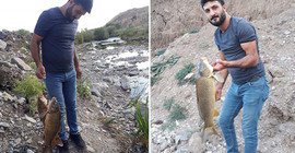 Suya elektrik vererek balık avlamak istedi, akıma kapıldı