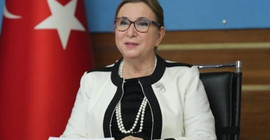 CHP, Ruhsar Pekcan hakkında Meclis soruşturması istedi