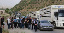 Hayvan üreticilerine yaylaya çıkış engeli