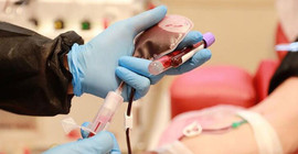 Türkiye'de Coronavirus: Son 24 saatte 231 kişi hayatını kaybetti