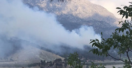 Adana'da ormanlık alanda yangın