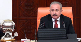 '128 milyar dolarla kaç sığınma evi açılır' sorularının yer aldığı önerge reddedildi