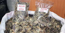 Uzmandan zayıflamak için 'açlık otu' tüketenlere uyarı
