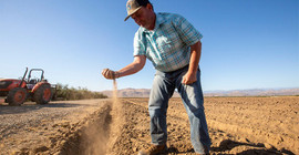 İktidar, GAP, DAP ve KOP'u yıllardır bitiremedi, çiftçi kuraklıktan perişan oldu
