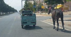 Atı, elektrikli motosiklete bağlayıp çektiler, sadece 4 bin 900 TL ceza aldılar
