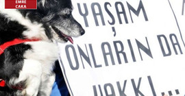 'Bu yasa baştan sona bir aldatmacadır: AKP, halkı yine aldatıyor!'