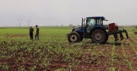 Ekonomik çöküş yaşayan 46 bin çiftçi pes etti