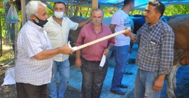 Bilim Kurulu üyesinden uyarı: Geçen yılki bayram sonrası vaka artışını hatırlayın, temastan kaçının