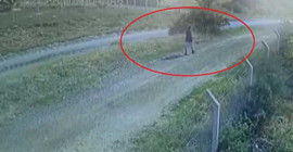 Kaçan koyunun peşinden giderken kaybolan üniversite öğrencisinin son görüntüleri ortaya çıktı
