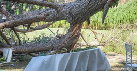 Kır düğününde bir kişinin öldüğü restoranın işletmecisi: İhmal yok