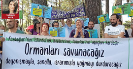 Akbeden ormanı için nöbet tutan yöre halkına dayanışma ziyareti: Orman yoksa yaşam da yok