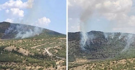 Dersim ve Diyarbakır'daki yangınlarda çok sayıda ağaç küle döndü