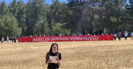 Yangın söndürme çalışmalarına destek bahanesiyle ağaç katliamı yapılan bölgeden bakana çağrı