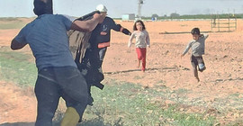 Akçakale’de arılar aileye saldırdı