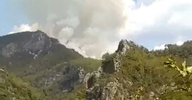 Alanya'da orman yangını