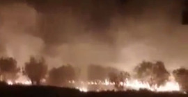 Midyat'ta ormanlık alanda çıkan yangın sonrası nöbet