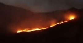 Hakkari Şemdinli'de orman yangını
