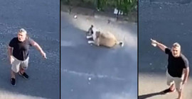 Daire 16, Özay Kaya: Tek yaşamıyoruz bu dünyada, hayvanlar da var