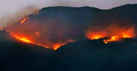 Dersim ve Şırnak'taki orman yangınları için tweet kampanyası