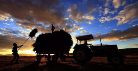 Çiftçi maliyetler altında ezilirken, İsviçre’ye peynir, et ve çikolata imtiyazı tanındı