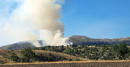 Ankara'da orman yangını