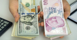 TL'de değer kaybı hızlandı: Dolar 8,60 seviyesinin üzerini test etti