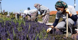 Ekonomide kayıt dışılıkta Mozambik seviyesindeyiz