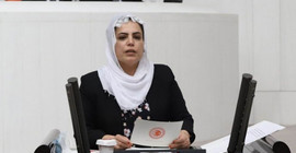 Mahkemeden HDP'li Tosun'a suç duyurusu kararı