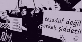 Rosa Logar: Erdoğan sözleşmeyi bırakmış olabilir ama sözleşme onu bırakmayacak