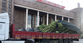 Ankara Valiliği, 10 Ekim’de katledilenleri temsil eden ağaçları kaldırdı