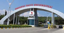 Sayıştay, üniversitedeki usulsüzlükleri ortaya çıkardı