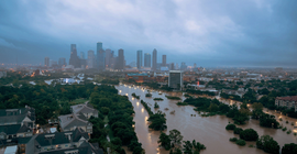 Harvey kasırgası 145 milyar doları savurdu