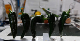 NASA açıkladı: Uzayda yetiştirilen biberler hasat edildi