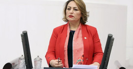 Hekimlere arşiv araştırmasına Meclis'te tepki: Akıl tutulması