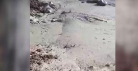 Şebinkarahisar’da siyanür atıklarının toplandığı havuz patladı