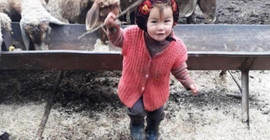 Müslüme'nin kardeşleri koruma altına alında, anne konukevinde
