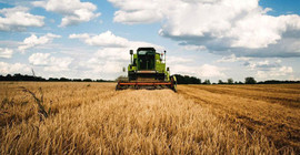 Çaresiz kalan çiftçi, ne varsa satıyor