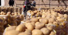 Sofrada lüks haline geldi: Böyle giderse patates soğan ithalatı başlayacak