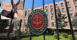 Yargıtay'dan 'eşek' kararı