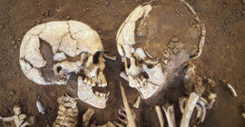 Dünyanın en eski soyağacı ortaya çıkarıldı: 27 aile üyesinin kalıntılarına ulaşıldı