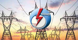 TEDAŞ’a tek kuruş aktarılmadı: 201 milyon liralık kira geliri şirketlere gitti