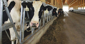 TÜSEAD Başkanı: Önce aile işletmeleri gider, sonra biz kapıya kilit vururuz