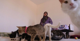 300 kediyi sahiplendirdi, 100 kedinin bakımını yapıyor