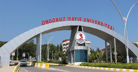 Kişiye özel kadro: İki çalışma tek şartta toplandı