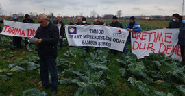 'Bafra’da tarım dışı yatırım ve yapılaşma cinayettir'