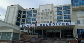 AKP’li belediyenin hayvan bakımevinde 4 ayda toplam bin 62 kedi ve köpek öldü